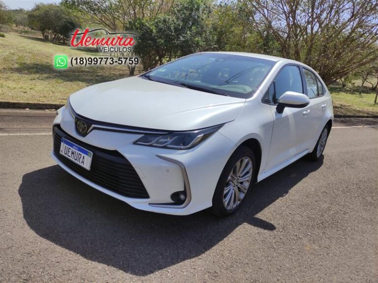 WhatsApp Image 2025-09-08 at 14.16.49