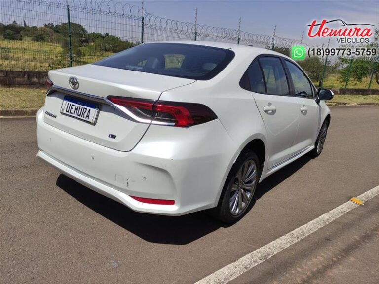 WhatsApp Image 2025-09-08 at 14.16.50