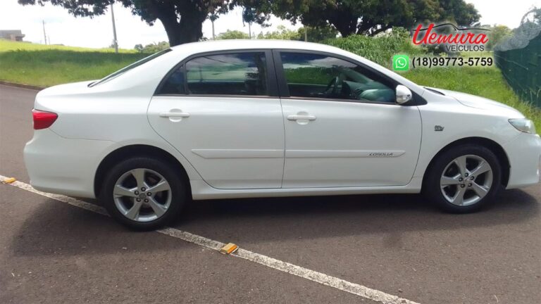 WhatsApp Image 2026-01-08 at 11.21.40