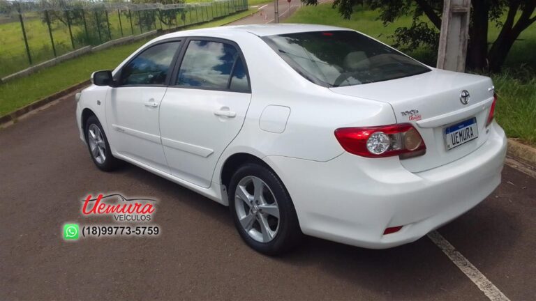 WhatsApp Image 2026-01-08 at 11.21.53