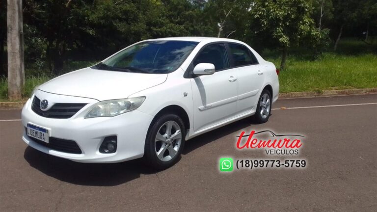 WhatsApp Image 2026-01-08 at 11.22.39