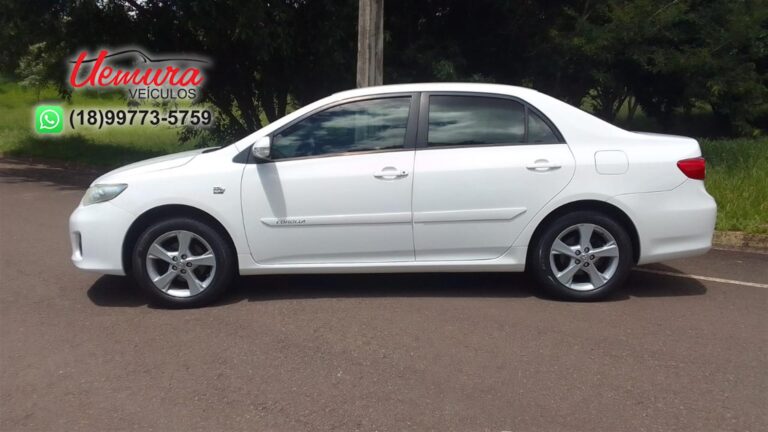 WhatsApp Image 2026-01-08 at 11.32.12