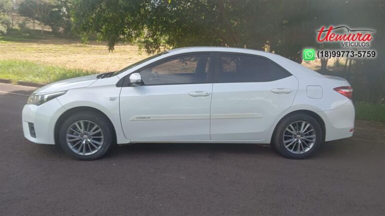 WhatsApp Image 2026-01-16 at 16.16.40