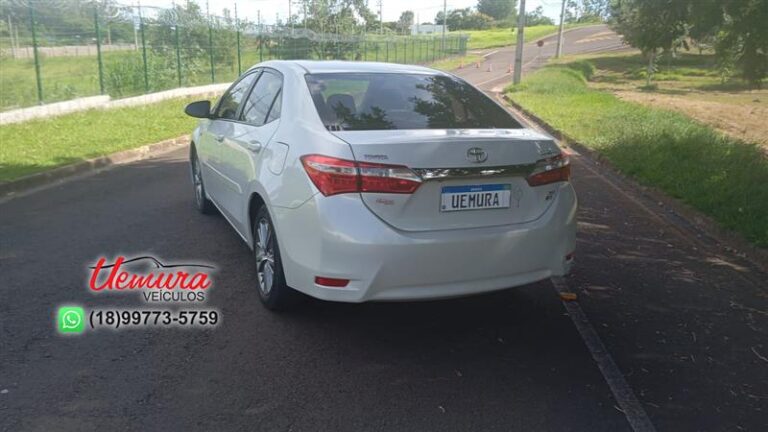 WhatsApp Image 2026-01-16 at 16.16.52