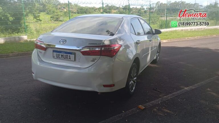 WhatsApp Image 2026-01-16 at 16.16.55