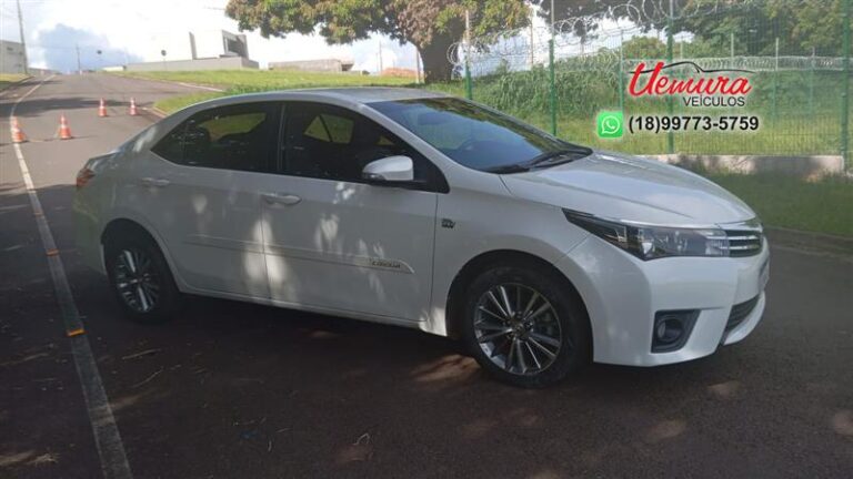 WhatsApp Image 2026-01-16 at 16.16.59